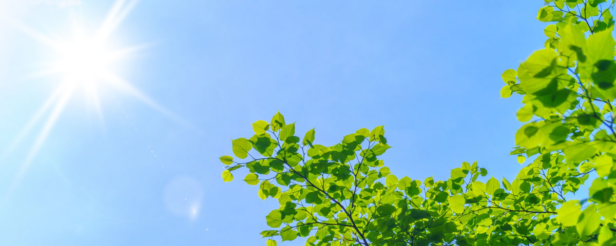 ヘッドイメージ_pc